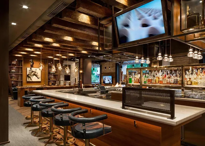 Renaissance Downtown Hotel